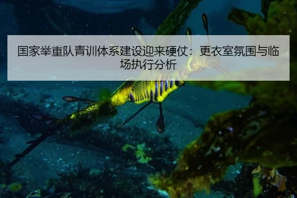 国家举重队青训体系建设迎来硬仗：更衣室氛围与临场执行分析